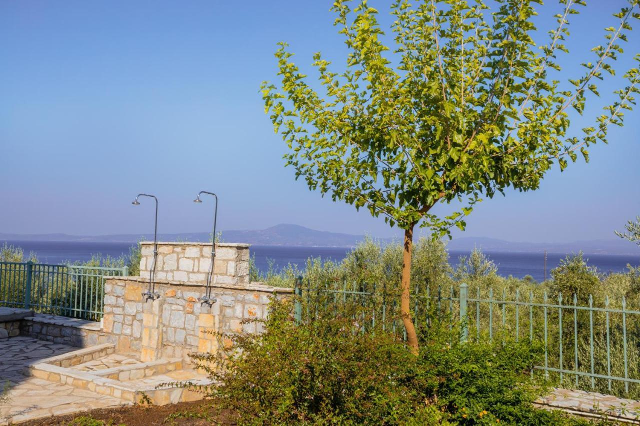 Cleopatra'S House Apartment Kalamata Exterior photo